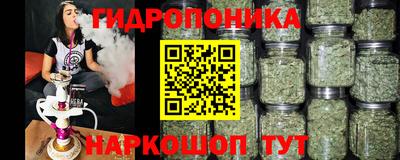 ГАЛЛЮЦИНОГЕННЫЕ ГРИБЫ Лесосибирск