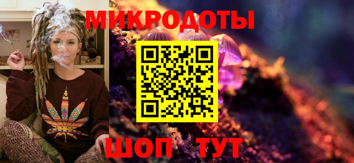 Тимашёвск  Псилоцибиновые грибы прущие грибы  Галлюциногенные грибы Cubensis  Вход с VPN 