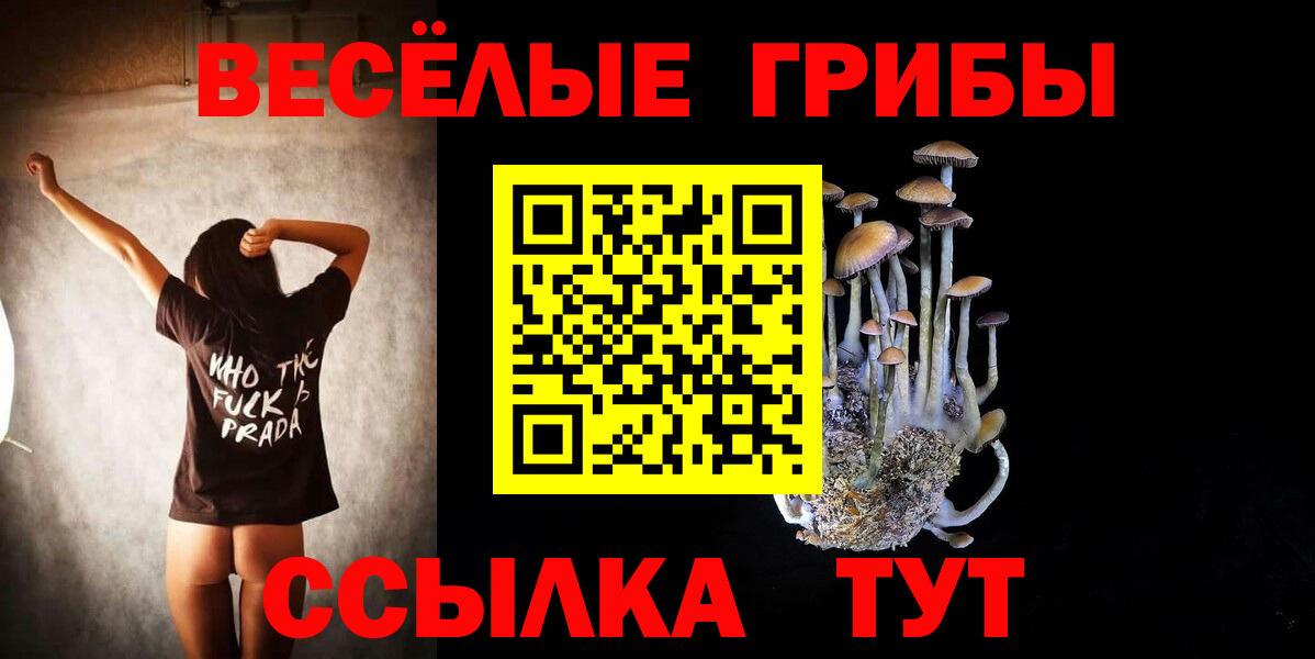 Псилоцибиновые грибы мухоморы Тимашёвск
