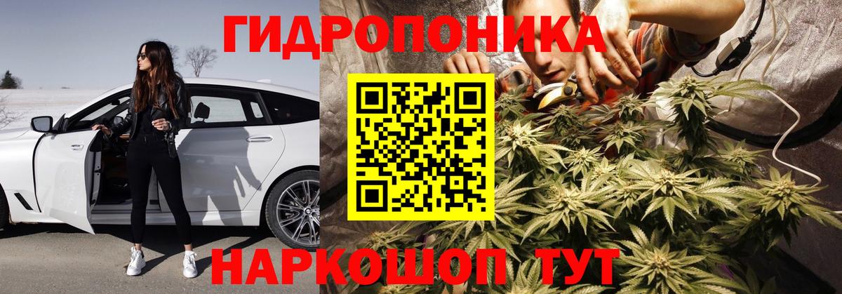 Конопля конопля  МАРИХУАНА SATIVA & INDICA  Вход с VPN  Тимашёвск  Конопля White Widow 